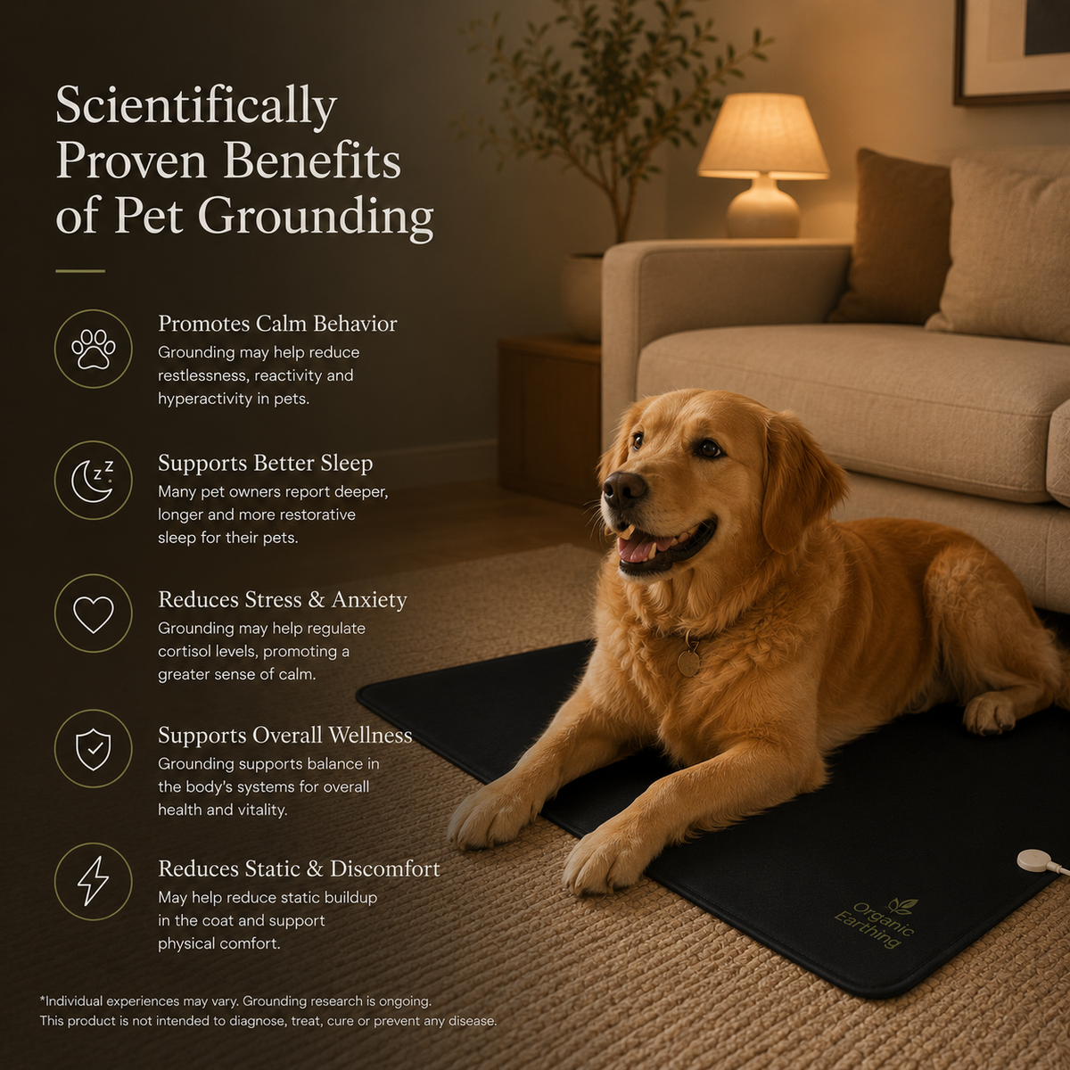 Grounding Mat for Pets | Earthing Pet Mat | Calming Support for Dogs & Cats | Indoor Grounding
